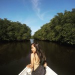 mangrove tour