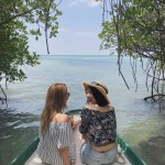the mangrove tour