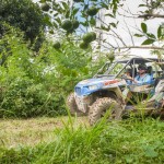 ride in balinesse plantation